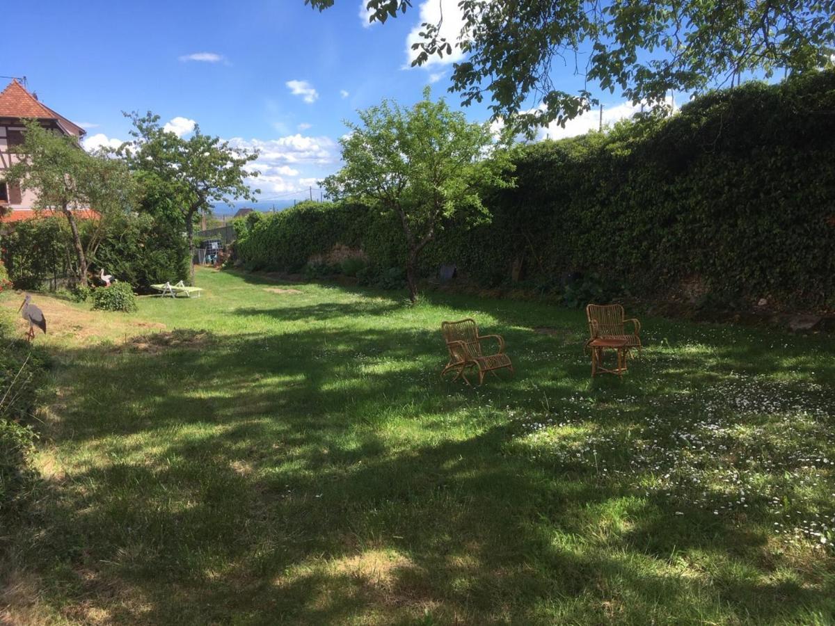 Villa Beck Domaine Du Rempart Dambach Exterior foto