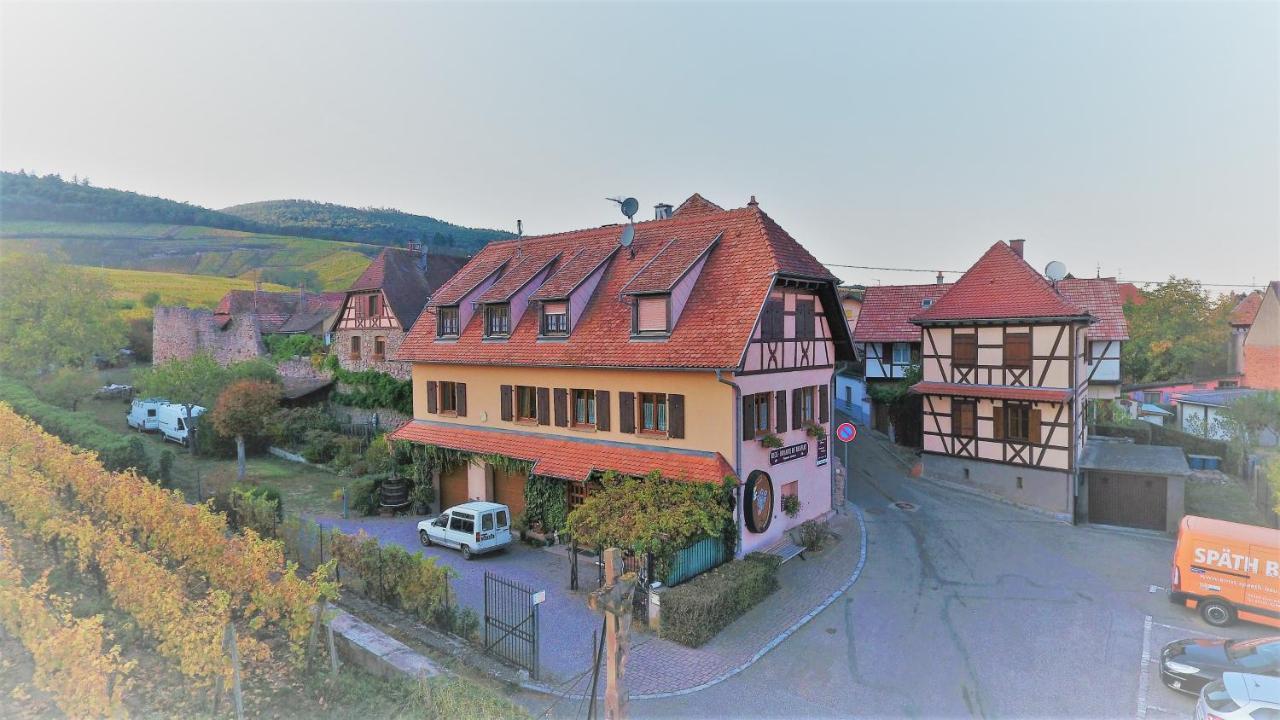 Villa Beck Domaine Du Rempart Dambach Exterior foto