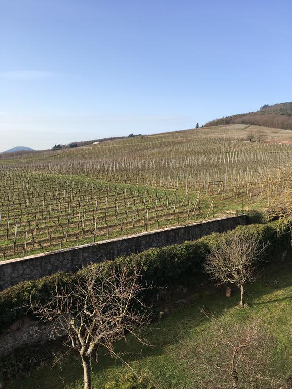 Villa Beck Domaine Du Rempart Dambach Exterior foto