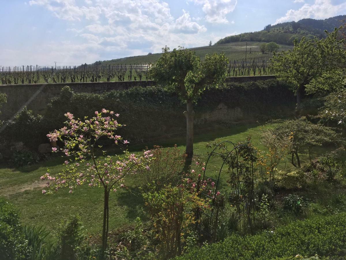 Villa Beck Domaine Du Rempart Dambach Exterior foto